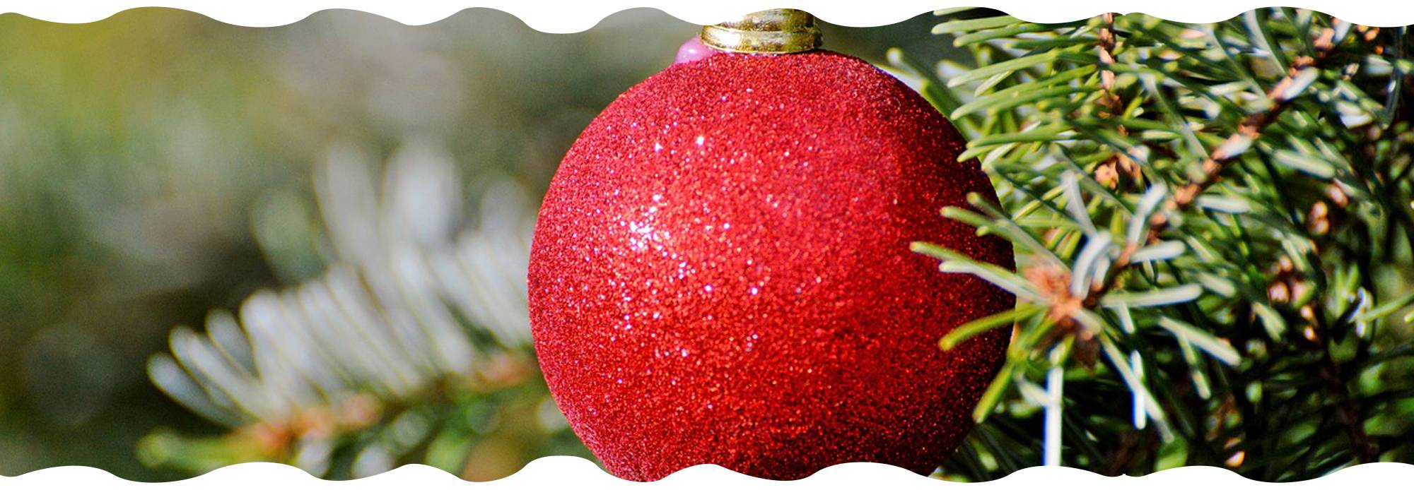 christmas-tree-campaign-gardencenternews-cost