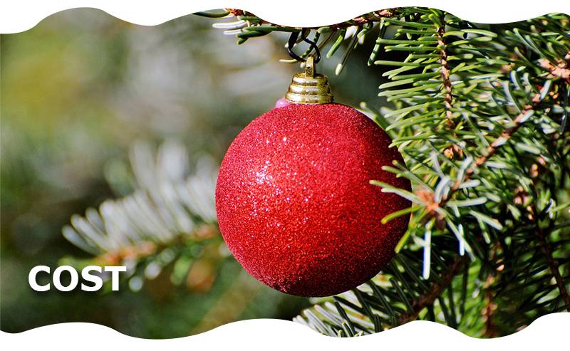 Christmas-Tree-Campaign-eblast-cost-will-be