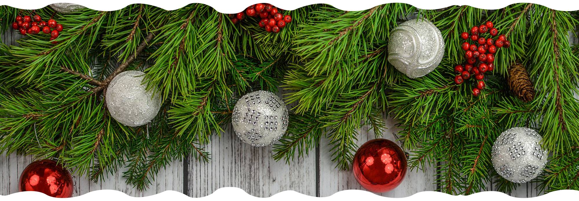 christmas-tree-campaign-gardencenternews-will-do